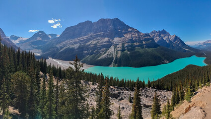 Melting snow from glacier feeding Blue water in Peyto lake with mountains in the background in...