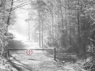 Verkehrszeichen an einem Waldweg im Winter
