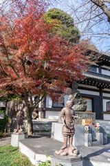 Obraz premium Hasedera-temple in Kamakura, Japan