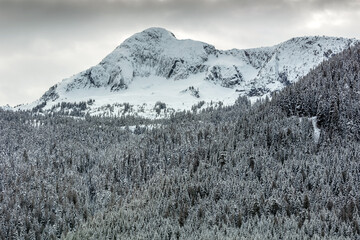 The snowy summit of Mount Webb in Chilliwack, BC