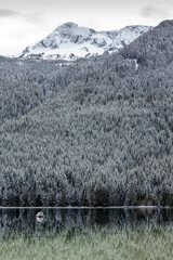 Winter scenery with the snowy mountain peak of mount Webb at Chilliwack Lake, BC
