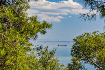 Marmara sea scenic view from pine forest on Buyukada island (Adalar, Turkey)