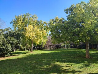 Photo of a lovely municipal park in Akadimia Platonos, Athens, Greece.
