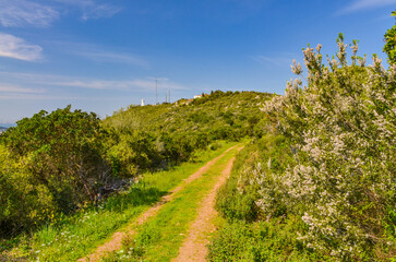 bike and hiking trail in Buyukada Nature Park (Adalar, Turkey)