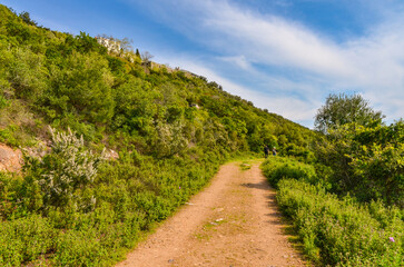 Fototapeta na wymiar bike and hiking trail in Buyukada Nature Park (Adalar, Turkey)