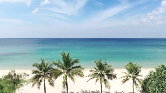 Beach with palm trees  sea view ocean background. Palm beach top view drone urban street coastal road island. 