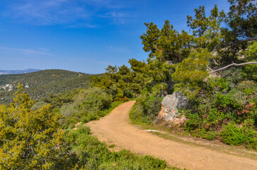 Fototapeta na wymiar bike and hiking trail in Buyukada Nature Park (Adalar, Turkey)