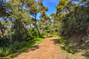 Fototapeta na wymiar trail in Büyükada Milli Parkı (Buyukada National Park) on Adalar (Princes' Islands), Turkey