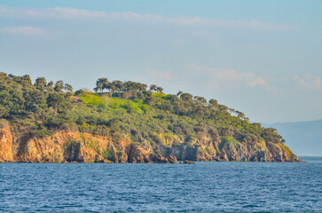 Obraz premium forest covered cliffs of Kasik Island in Marmara sea (Adalar, Turkey)