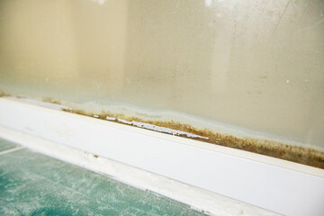 Black bold fungus in bathroom glass door. Damp wet floor.