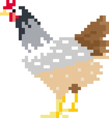 Chicken cartoon icon in pixel style