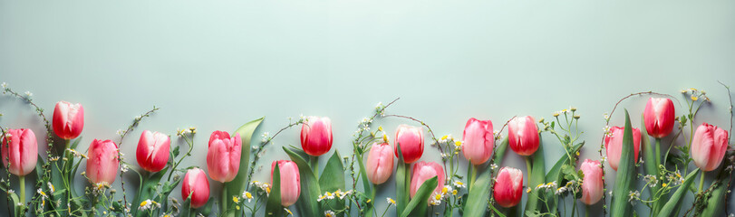 Fresh cut tulips on pastel green background