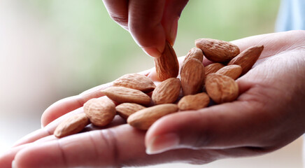 holding an almond in one hand while picking up an almond with the other hand