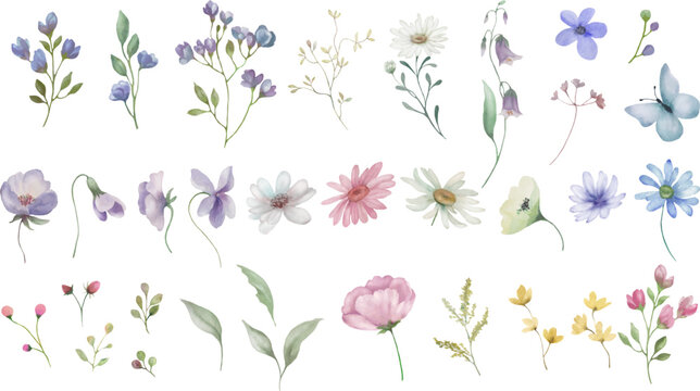 Watercolor floral set. Hand drawn illustration isolated on transparent background. Vector EPS.
