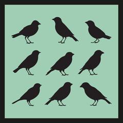 Finch bird silhouette set