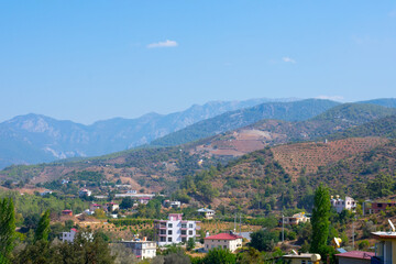 Fototapeta na wymiar A lot of tiny houses in fir tree woods and lanscape with rocky foggy mountains in summertime, blue sky and daytime sunlight