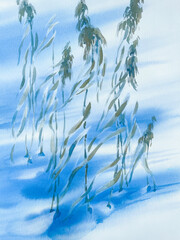 Dry grass in winter on snow shadows watercolor background - 727650015