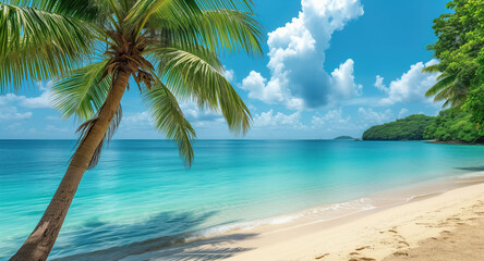 Idyllic Tropical Beach with Lush Palm Tree