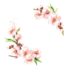 Spring blooming sakura frame corners. Watercolor hand drawn illustration, isolated on white background
