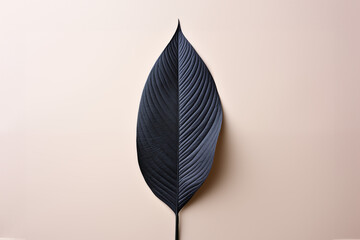 Fototapeta na wymiar Minimalist image of a detailed black leaf against a soft pink backdrop. Concept for art, design, nature themes, or minimalist aesthetics. Plenty of copy space.