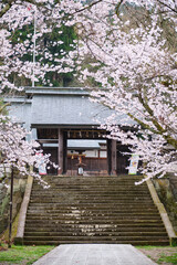 Hida Gokoku Shrine entrance in april during sakura blossom, in Takayama, Hida, Gifu, Japan. April, 2023.