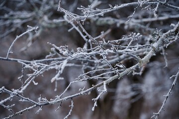 雪の風景