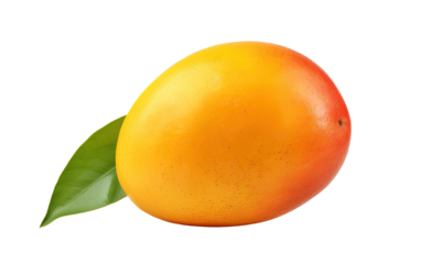 Tropical Temptation Mango on White or PNG Transparent Background.