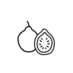 Guava icon