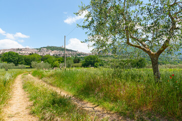 Vehicle tracks leading across field towards village on hill