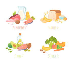 Set of food macronutrients vector illustration. Protein, carbohydrate, fat, fiber in different products. Four categories of food. Nutrient complex diet of organic natural products. Healthy lifestyle