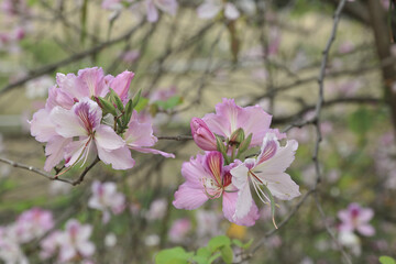 March 22 2015 red brick Built Structure at hong kong