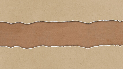 Torn strip of old paper