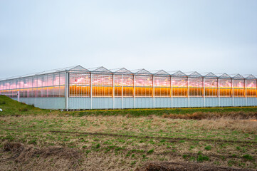 Greenhouses are illuminated by led lights