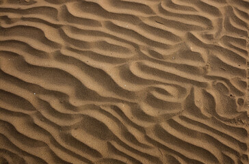 sand ripples in the sand texture