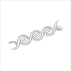 One of helix DNA. Minimalist concept of medical and science biotechnology in simple style. Human genome structure in editable stroke.