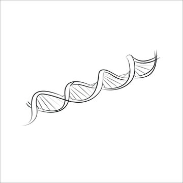 Diagonal DNA chain. Minimalist concept of medical and science biotechnology in simple  style.
