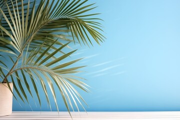tropical palm leaves with shadow on blue background minimal nature summer styled flat lay free copy...
