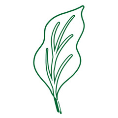 green leaf icon