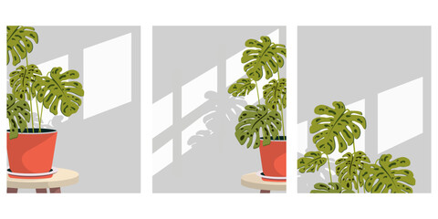 Home flower, plant, background, postcard, poster set