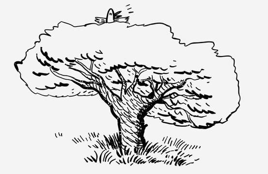 Hand-draw big tree vector image doodle