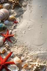 background with beach sand scenes and small shells