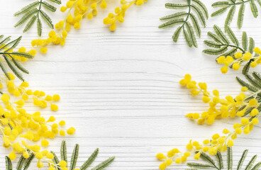 Mimosa flowers on white wooden background