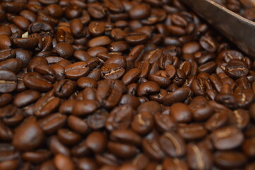 COFFEE BEANS