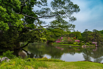 Rikugien Garden, Tokyo, Japan