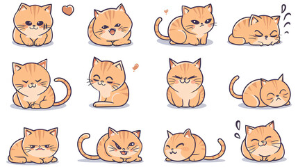 A collection of images of cats in different poses, a set of cute cat pictures.