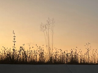 夕暮れの風景