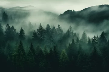 Poster Enchanting Misty Forest, Dark Green Serenity © M.Gierczyk