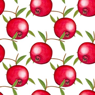Seamless pattern with ripe pomegranates, watercolor illustration