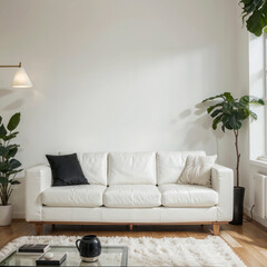 modern living room interior design with white sofa