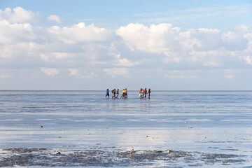 people mudflat walking at the bottom of the sea in the Waddenzee in Holland with blue sky and white clouds on a sunny day